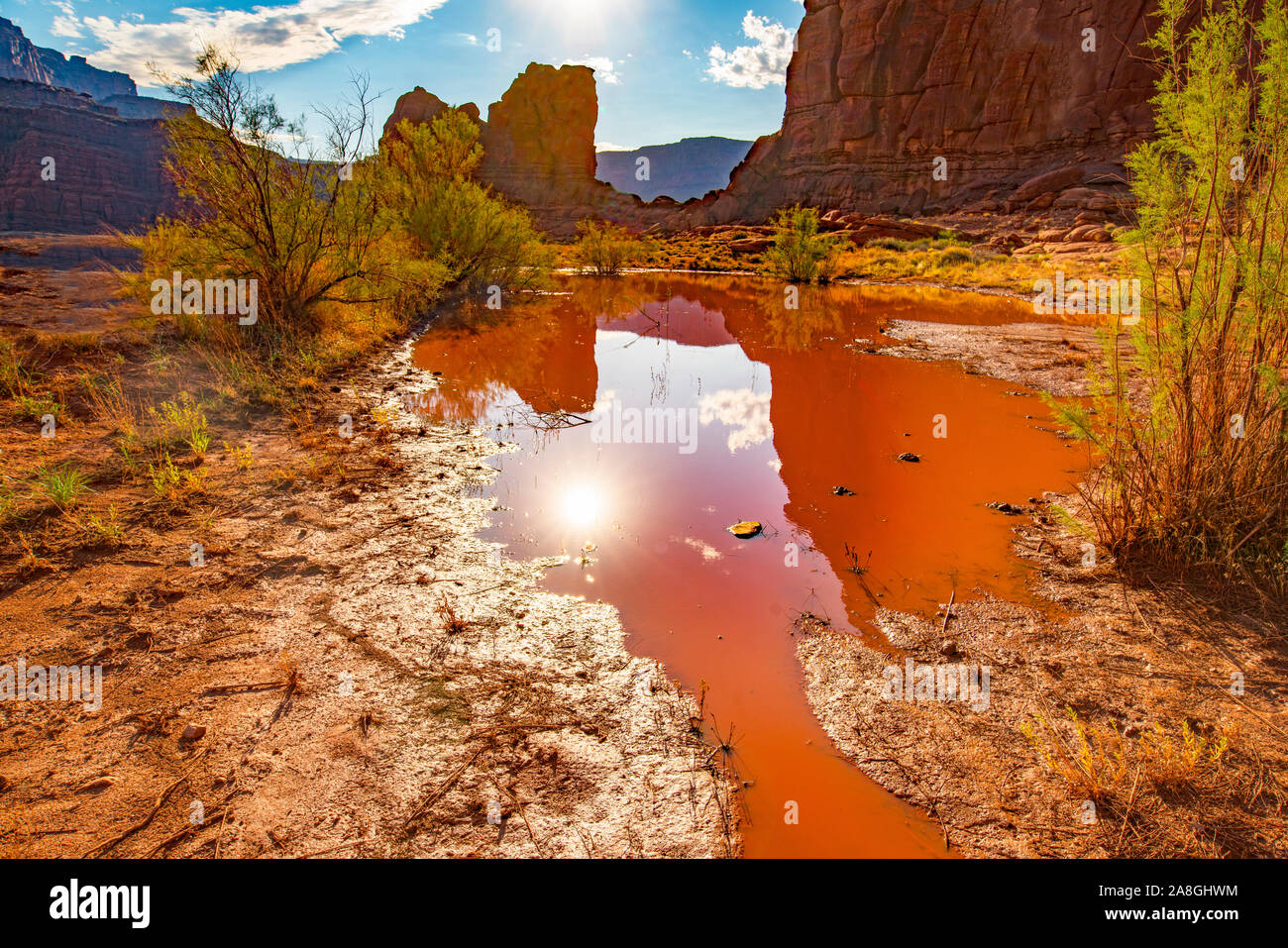 Arancione le acque di esondazione lungo il Fiume Colorado, porta le orecchie del monumento nazionale, Utah. Pool di rosso da piogge haevy Foto Stock
