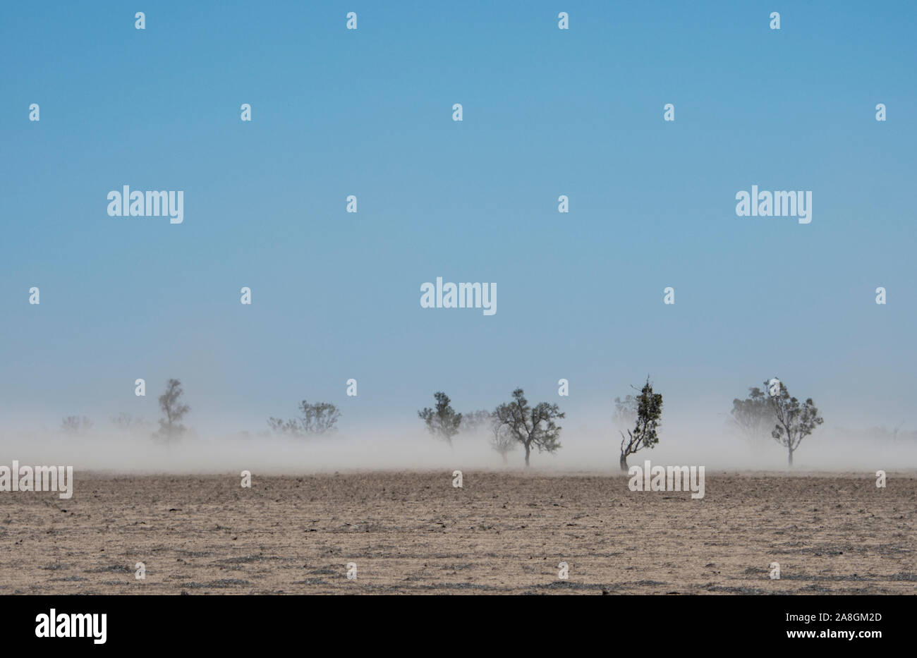 Tempesta di polvere soffiando su terra che è stata cancellata e viene nei periodi di siccità, vicino a Walgett, Nuovo Galles del Sud, NSW, Australia Foto Stock