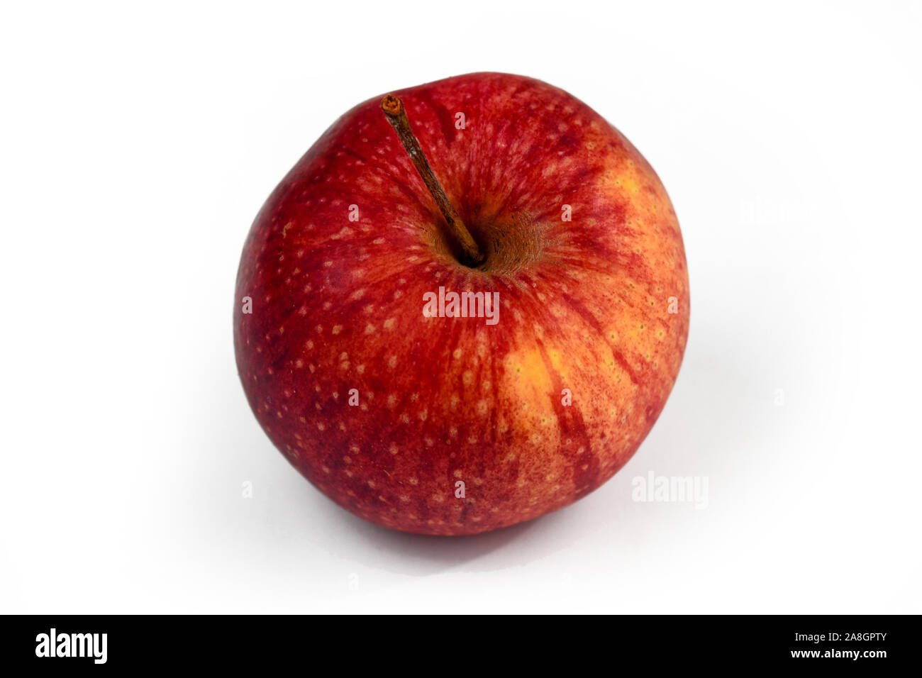 Unico unwaxd naturale rosso organico e leggermente gialla Apple su sfondo bianco Foto Stock