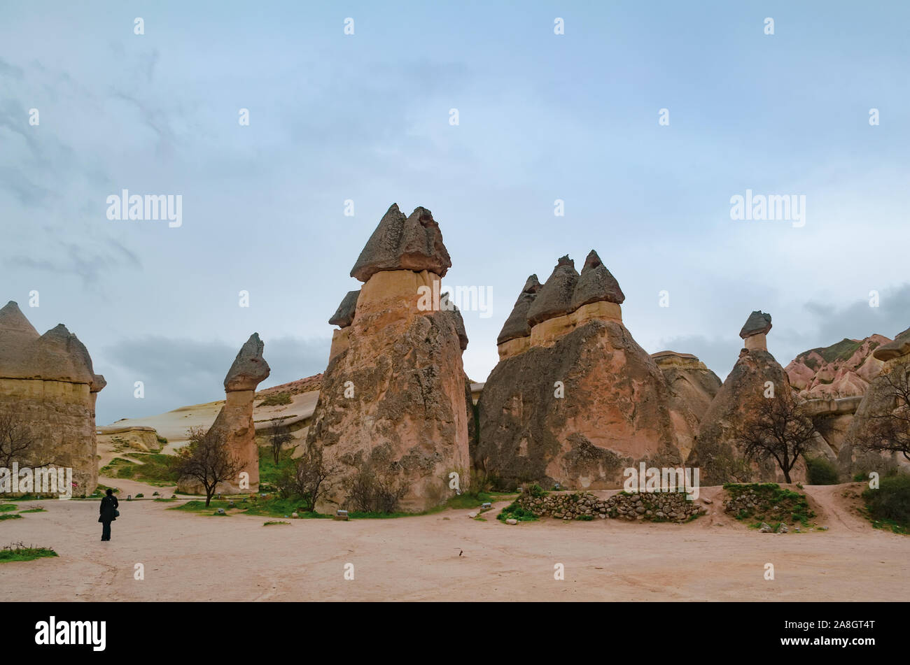 Rocce di tufo guarda come pietra di funghi in turco Cappadocia. Pashabag Valley Foto Stock