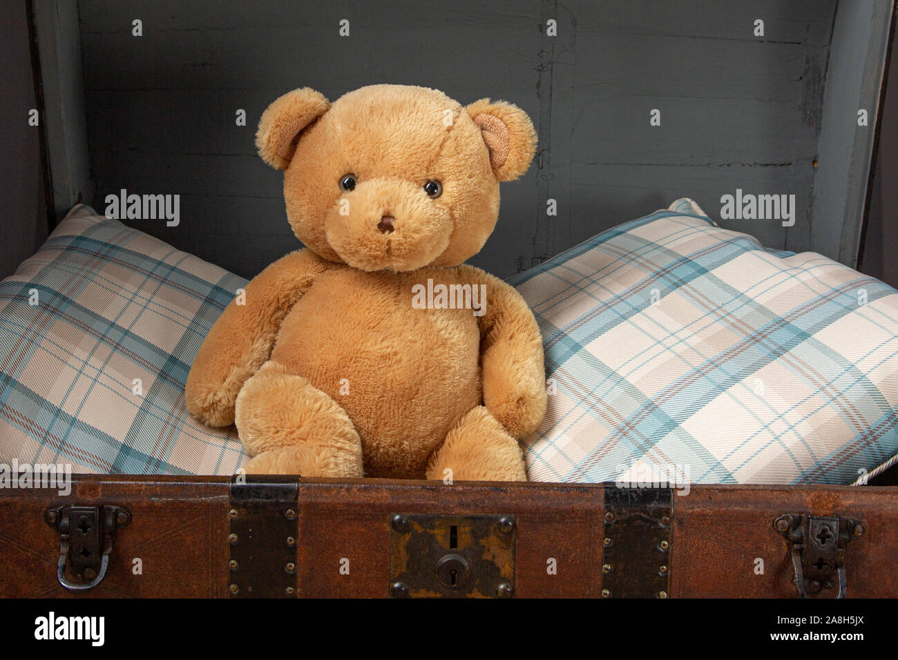 Un tradizionale orsacchiotto seduto in un vecchio giocattolo petto Foto Stock