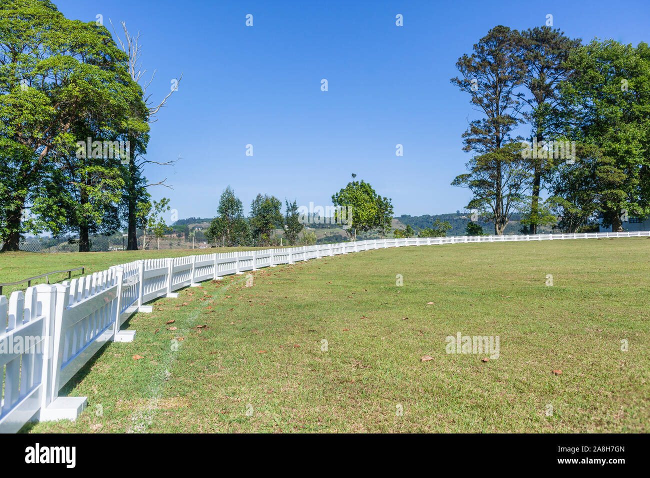 Scenic cricket motivi dal bianco recinzione perimetrale del campo di erba astro e campo di erba mattina summer blue giorno paesaggio di campagna. Foto Stock