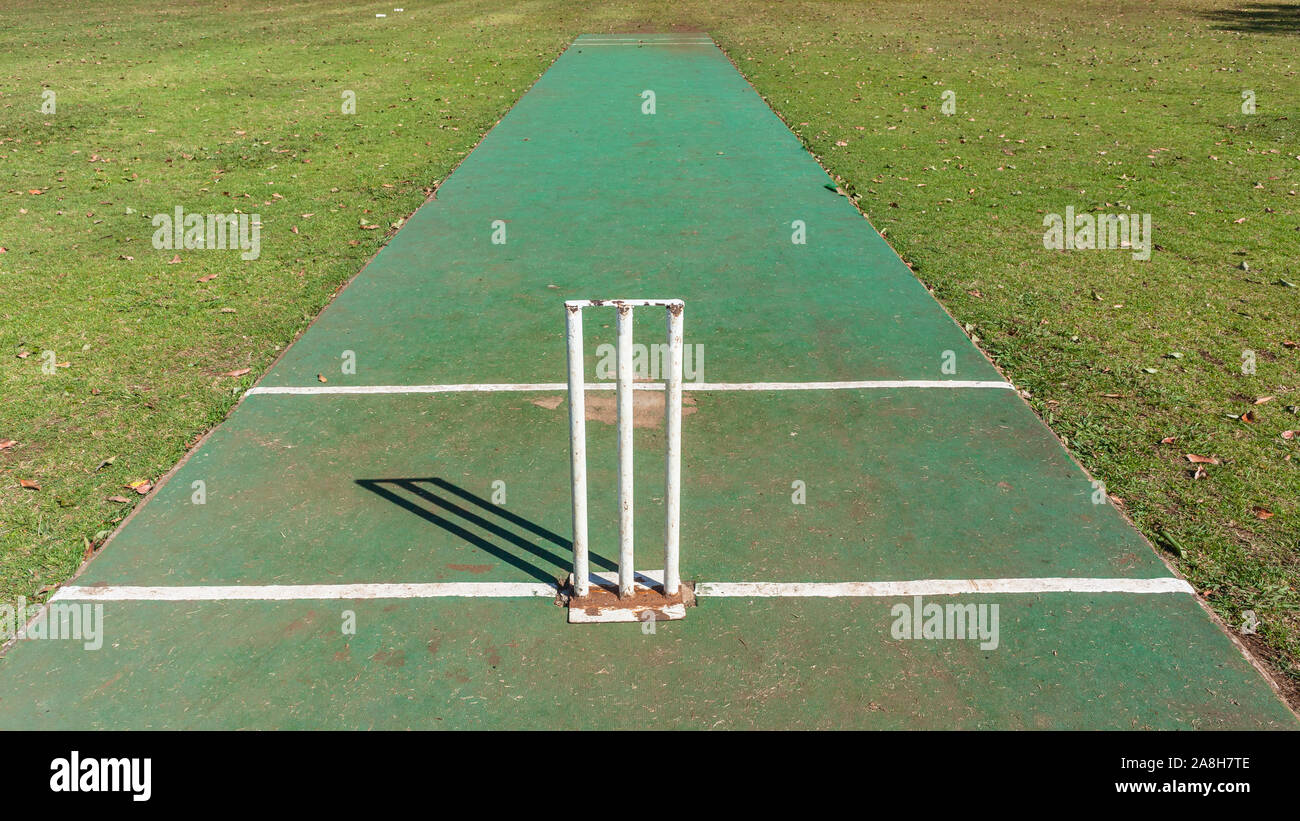 Scenic cricket motivi dal bianco recinzione perimetrale del campo di erba astro e campo di erba mattina summer blue giorno paesaggio di campagna. Foto Stock