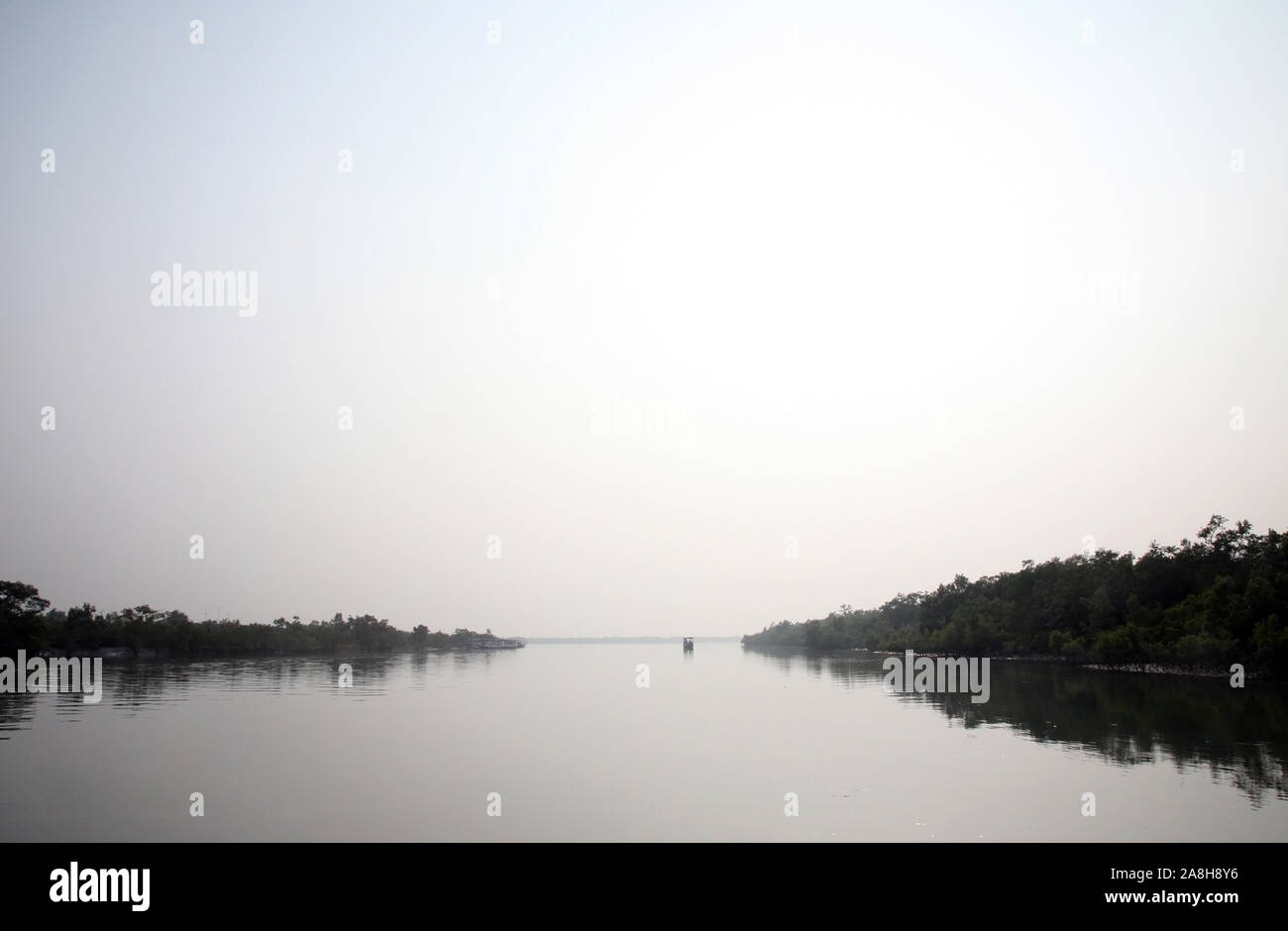 Foschia mattutina sul santissimo di fiumi in India. Delta del Gange in Sundarbans, West Bengal, India Foto Stock