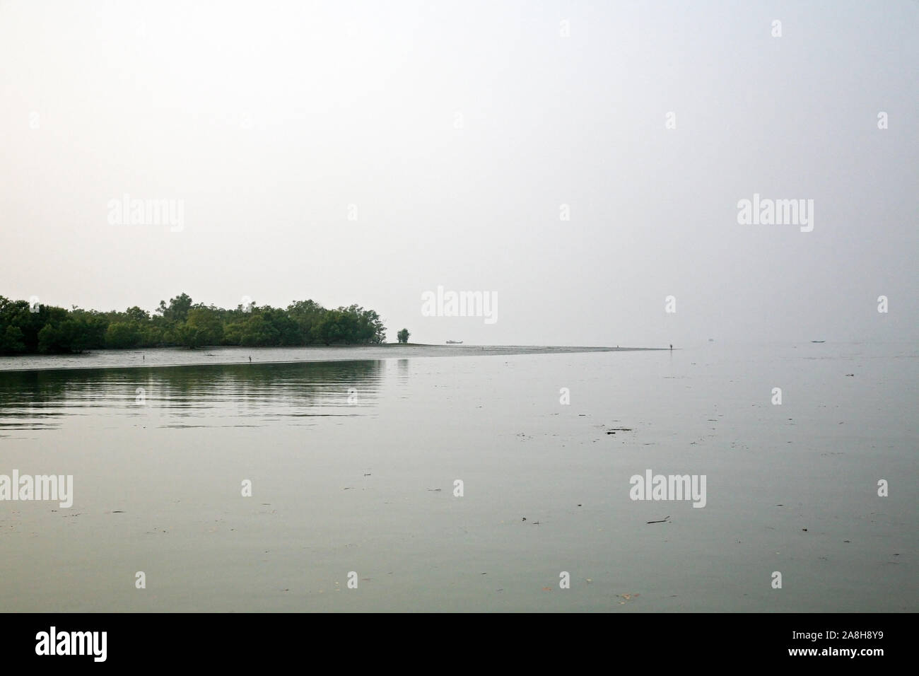 Foschia mattutina sul santissimo di fiumi in India. Delta del Gange in Sundarbans, West Bengal, India Foto Stock