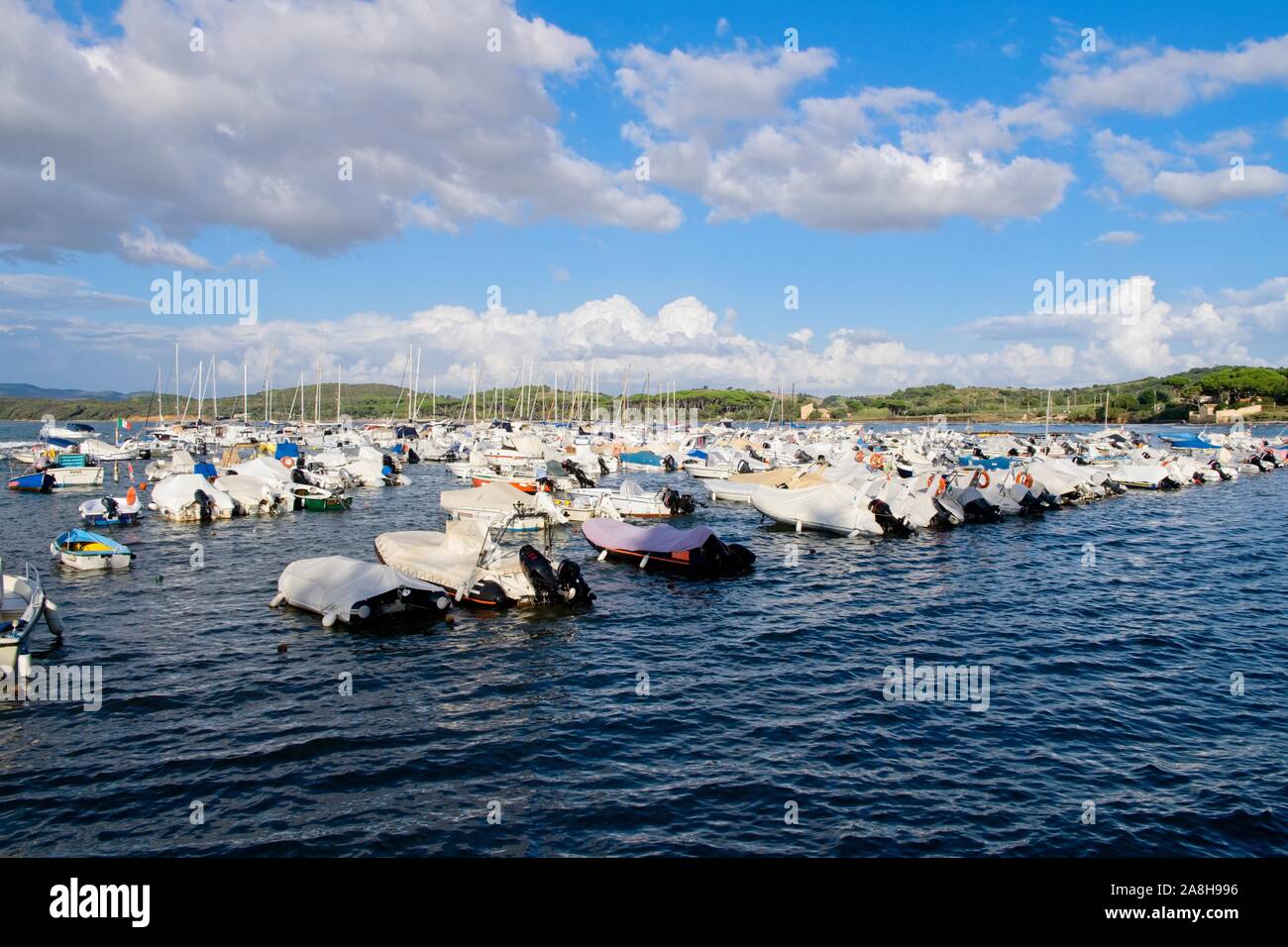 Golfo di Baratti, provincia di Livorno, Toscana, Italia Foto Stock