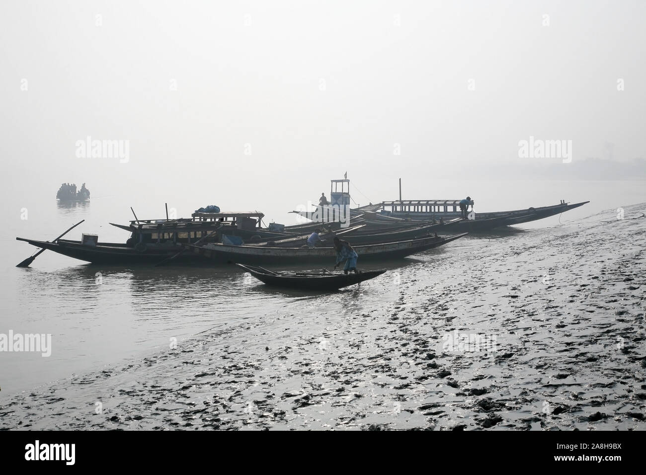 Foschia mattutina sul santissimo di fiumi in India. Delta del Gange in Sundarbans, West Bengal, India Foto Stock