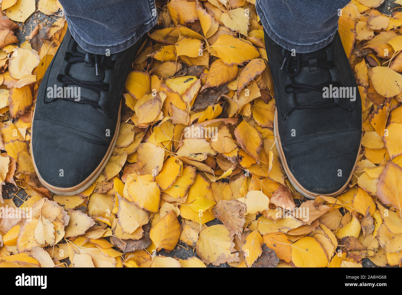 Due gambe maschio in stivali di fogliame in una passeggiata. Uomini nero scarpe con lacci all'esterno. Piedi in giallo caduta foglie. Foto Stock