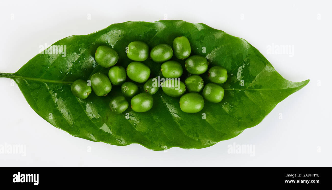 Gruppo di fagioli verdi sulla foglia di caffè isolato Foto Stock