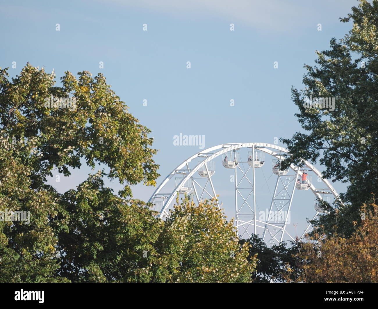 Ruota panoramica Ferris tra gli alberi su una soleggiata giornata autunnale a Győr, Ungheria Foto Stock