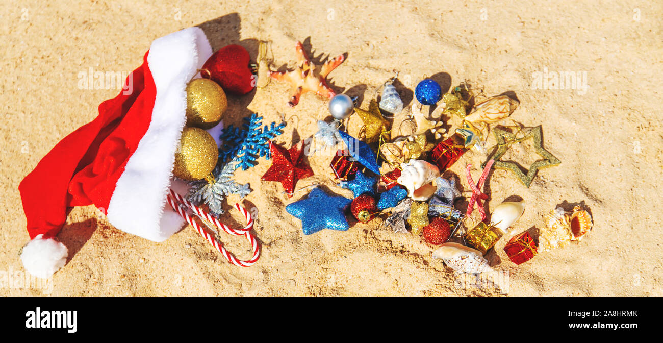 Sfondo di Natale sulla spiaggia con conchiglie sulla sabbia. Messa a fuoco selettiva. Foto Stock