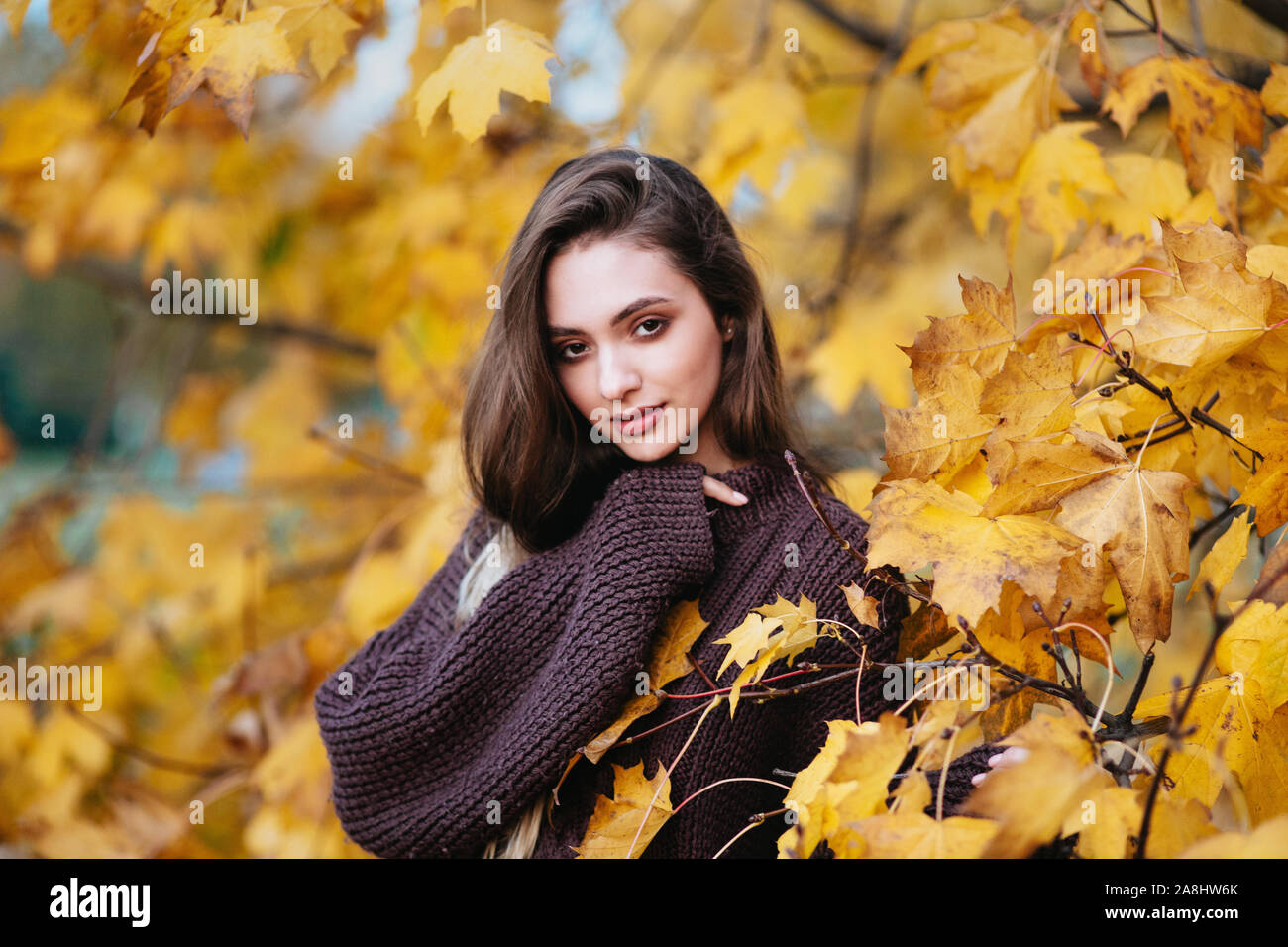 Romantico giovane donna in browm maglione in autunno park. Concetto di caduta Foto Stock