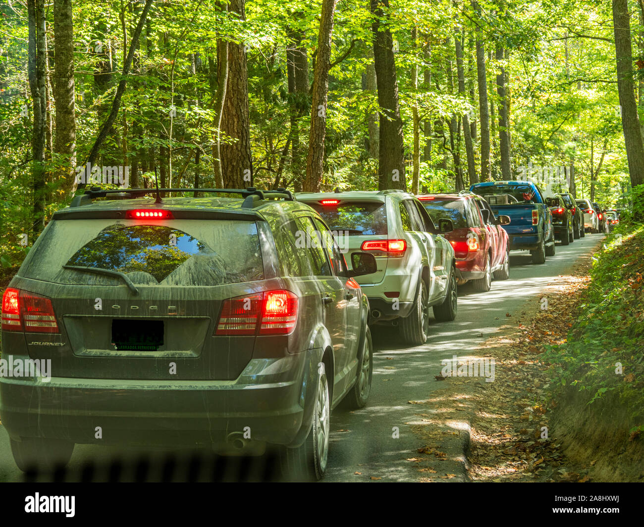 Loop il traffico stradale Cades Cove nel Parco Nazionale di Great Smoky Mountains nel Tennessee negli Stati Uniti Foto Stock