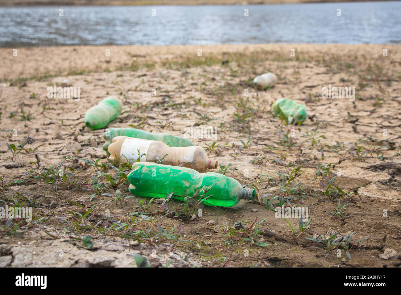 Bottiglie di plastica gettate a terra che inquinano l'ambiente. Rifiuti. Lettiera. Inquinamento. Foto Stock