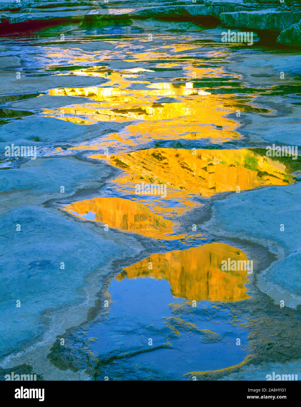Riflessioni in Slickhorn Canyon, Slickhorn Canyon Wilderness Area Studio, vicino al fiume San Juan, Utah, Glen Canyon National Recreation Area Foto Stock