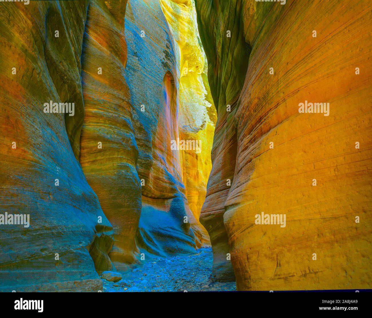 Orderville Canyon Zion National Park nello Utah, Sion si restringe, Slot Canyon Foto Stock