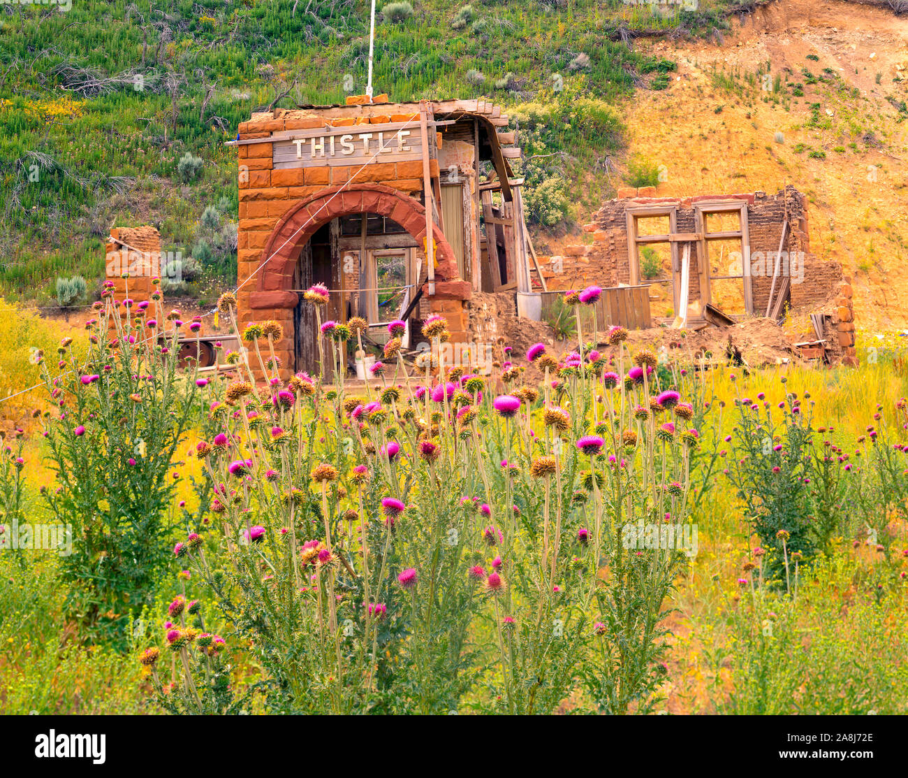 THistle resti Thistle città fantasma, Utah, Wastatch montagne, Spagnolo Canyon a forcella Foto Stock