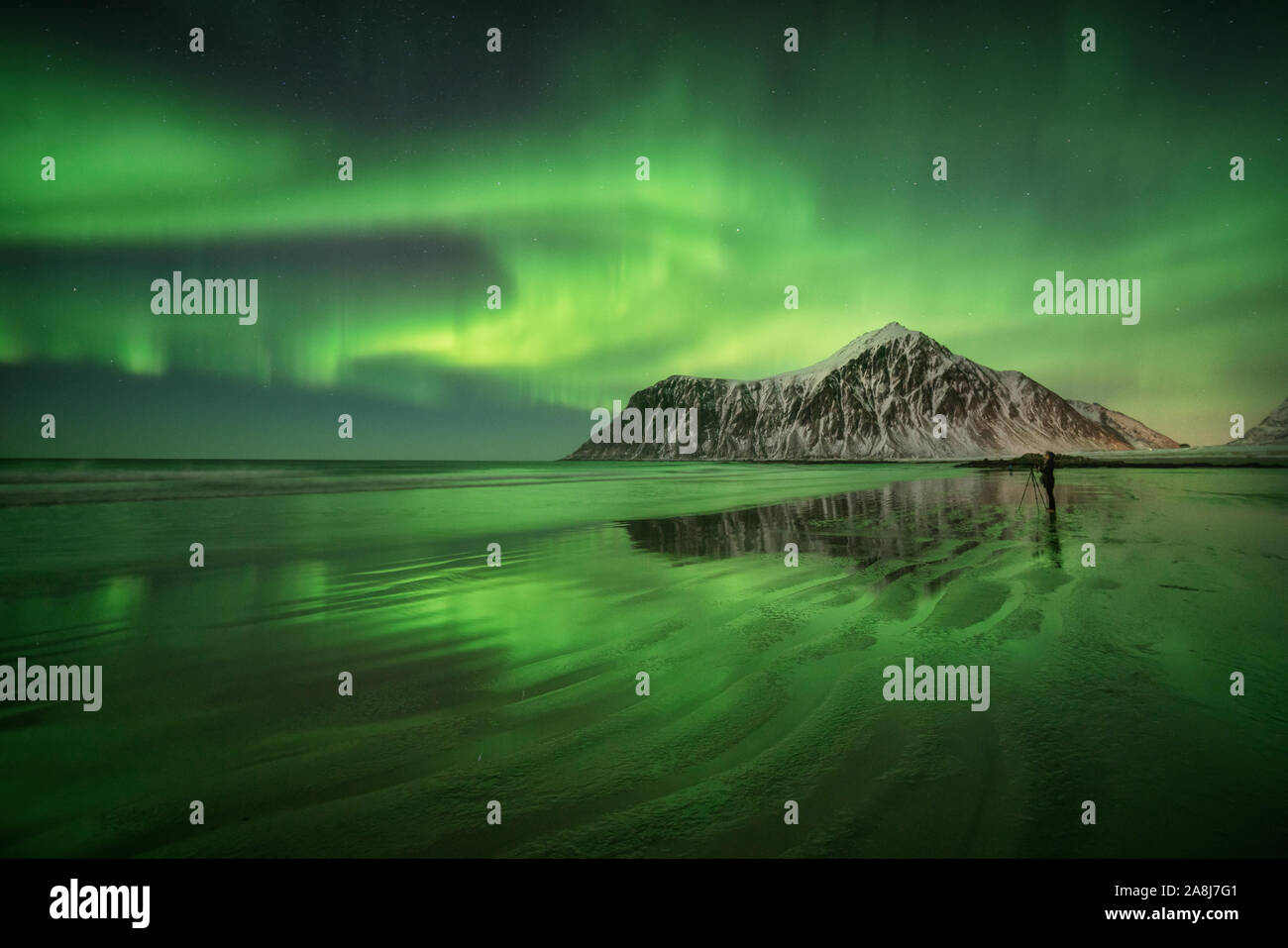 Aurora Boreale in isole Lofoten in Norvegia. Inverno freddo la notte e le luci del nord. Vette innevate e una spiaggia artico Foto Stock