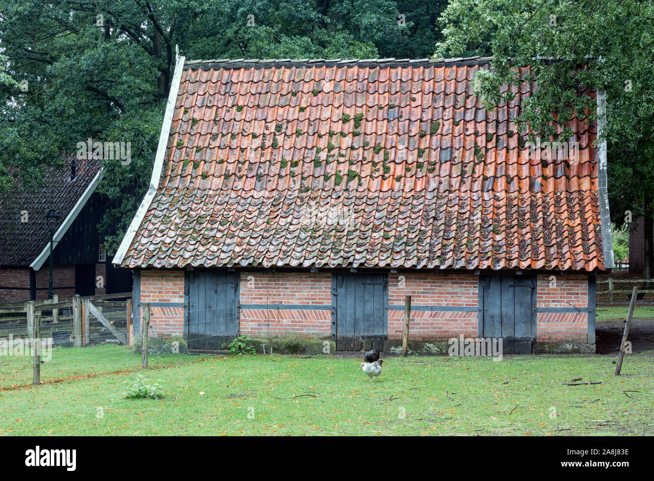 Rurale olandese open-air museum con il vecchio fienile Foto Stock