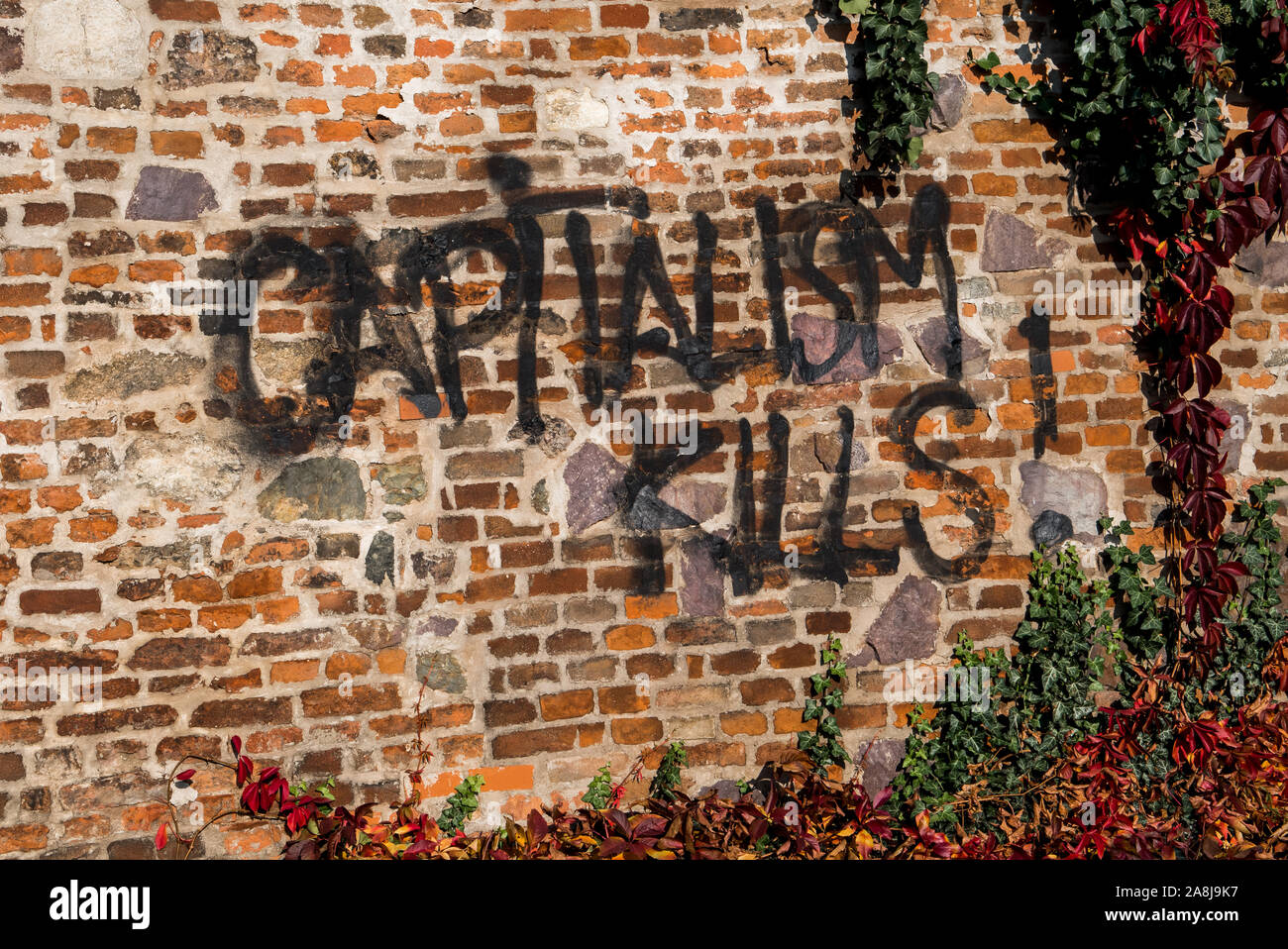 Il capitalismo uccide Graffiti su un muro di mattoni di edera Foto Stock