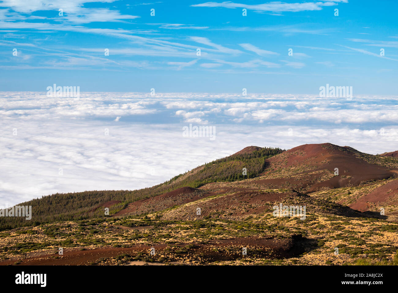 Mare di Nuvole sotto la cima del vulcano Teide Tenerife Foto Stock