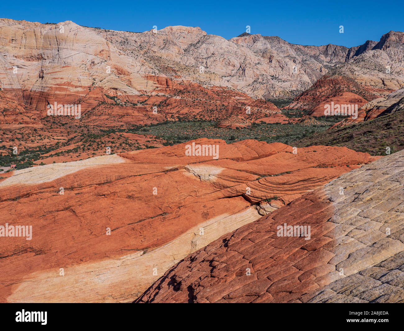 Multi-color pietra arenaria Navajo, Flusso di Lava Trail, Snow Canyon State Park, Saint George, Utah. Foto Stock