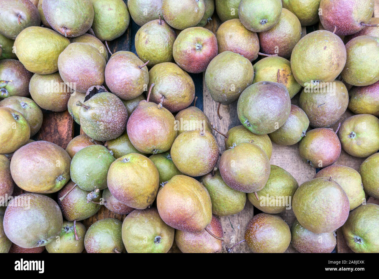 Una scatola nera di Worcester pere in vendita in una fattoria di Norfolk shop. Foto Stock