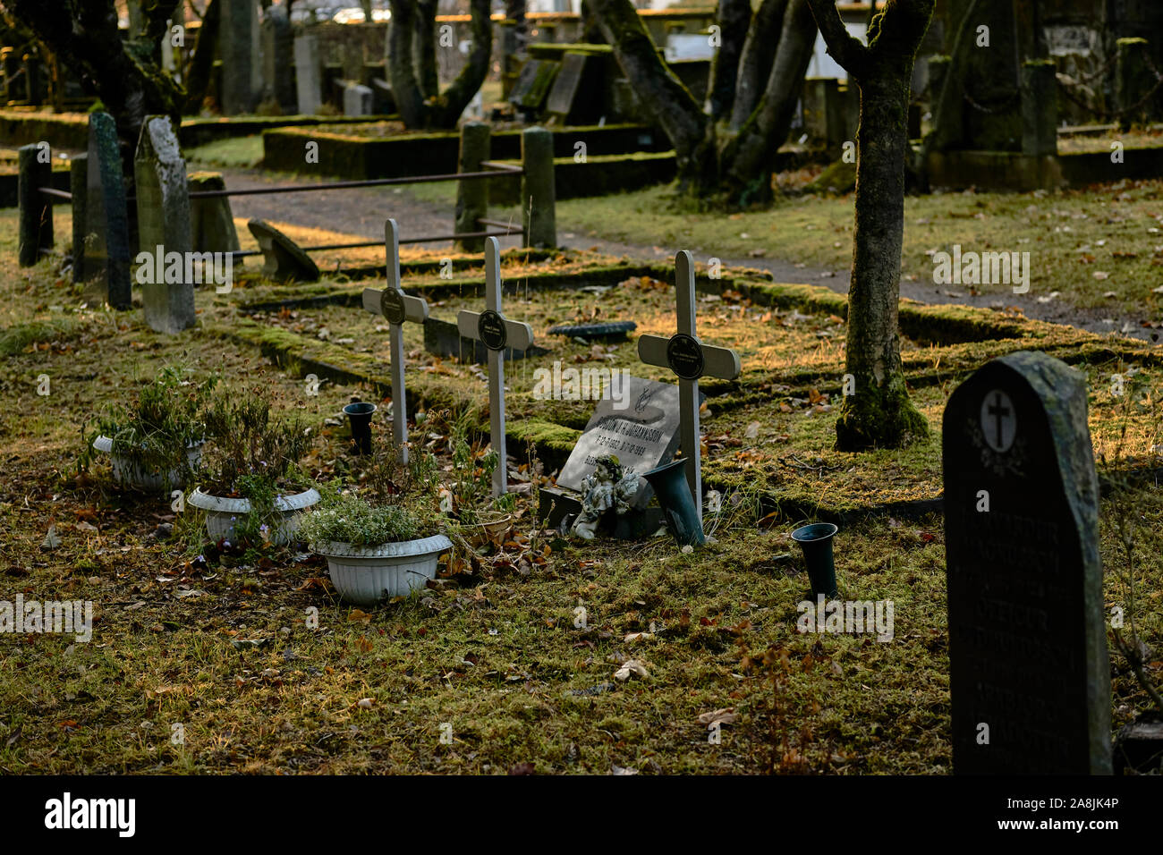 Moody le immagini dal vecchio cimitero a Reykjavik, Islanda, shot in bassa luce cupa di avvicinamento invernali Foto Stock