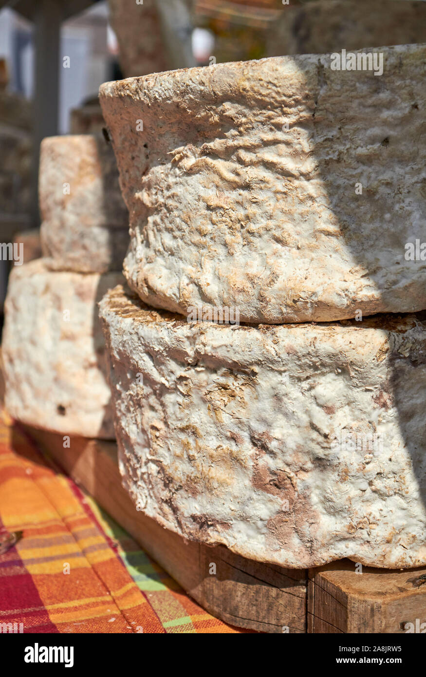 Ruote di formaggio su display a 2019 lenta esposizione di formaggio a Bra, Cuneo, Piemonte, Italia Foto Stock
