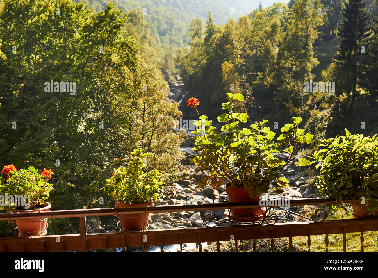 Una veranda giardino fiorito affacciato sul Maratime Alpi vicino a Valdieri, Cuneo, Piemonte, Italia Foto Stock