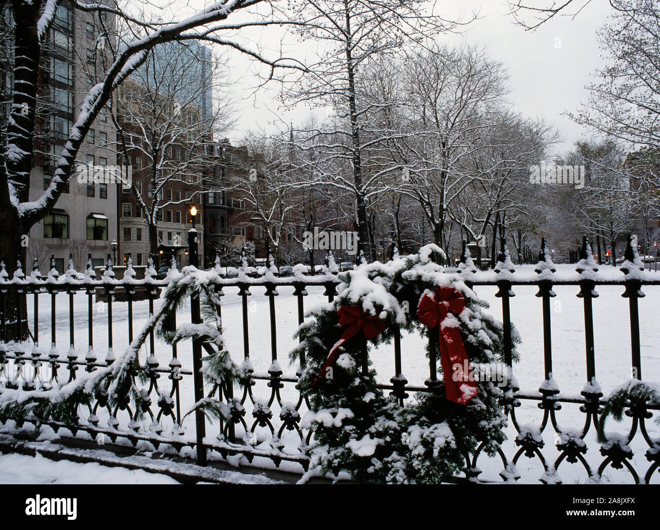 Arlington Street ghirlanda di Natale - Boston, Massachusetts Foto Stock