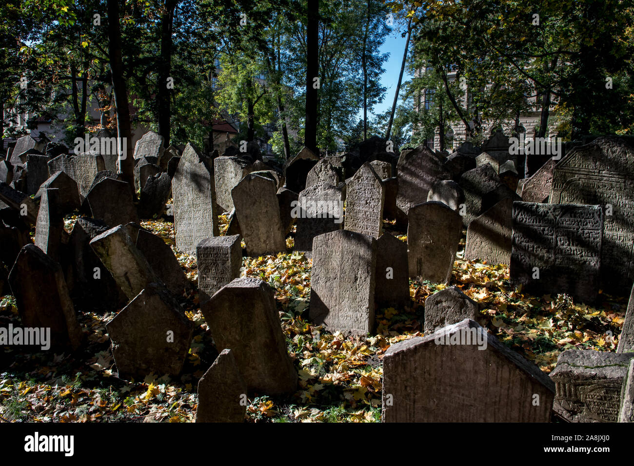 Vecchie lapidi spiovente sul cimitero ebraico di Praga nella Repubblica Ceca Foto Stock