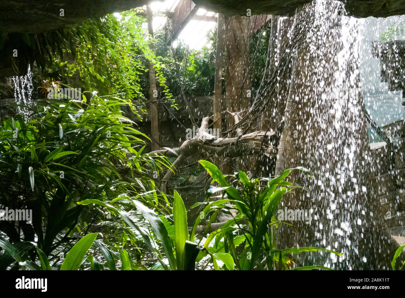 Il Bronx Zoo Wildlife Conservation Society, Bronx Park, Bronx, New York Foto Stock