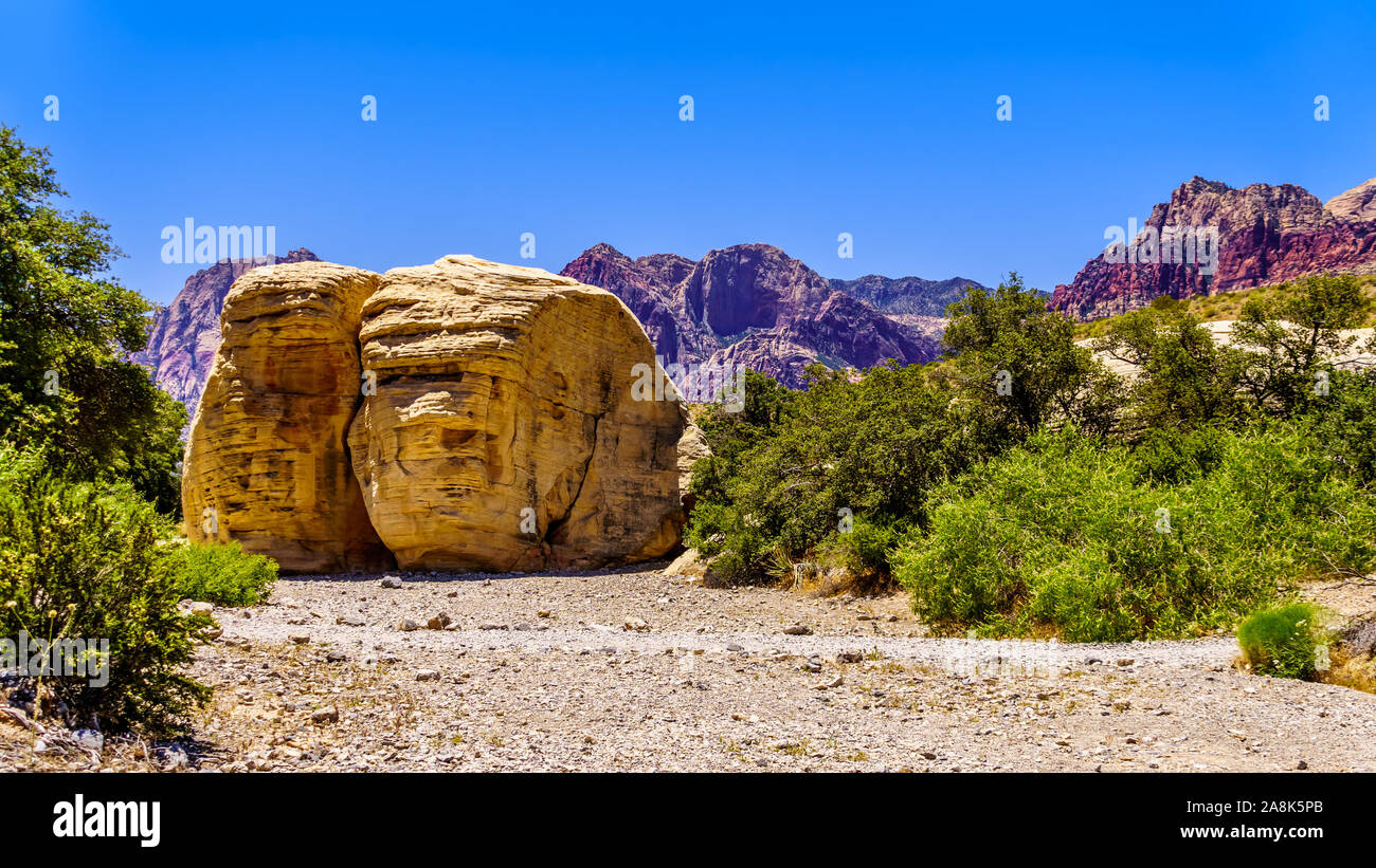 Gigante giallo rocce di arenaria presso la cava di pietra arenaria Trail nel Red Rock Canyon National Conservation Area vicino a Las Vegas, Nevada, Stati Uniti Foto Stock