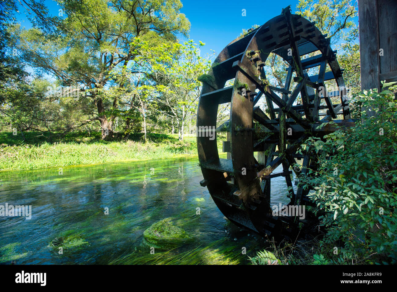 Daio Wasabi Farm in Azumino, Nagano, Giappone Foto Stock