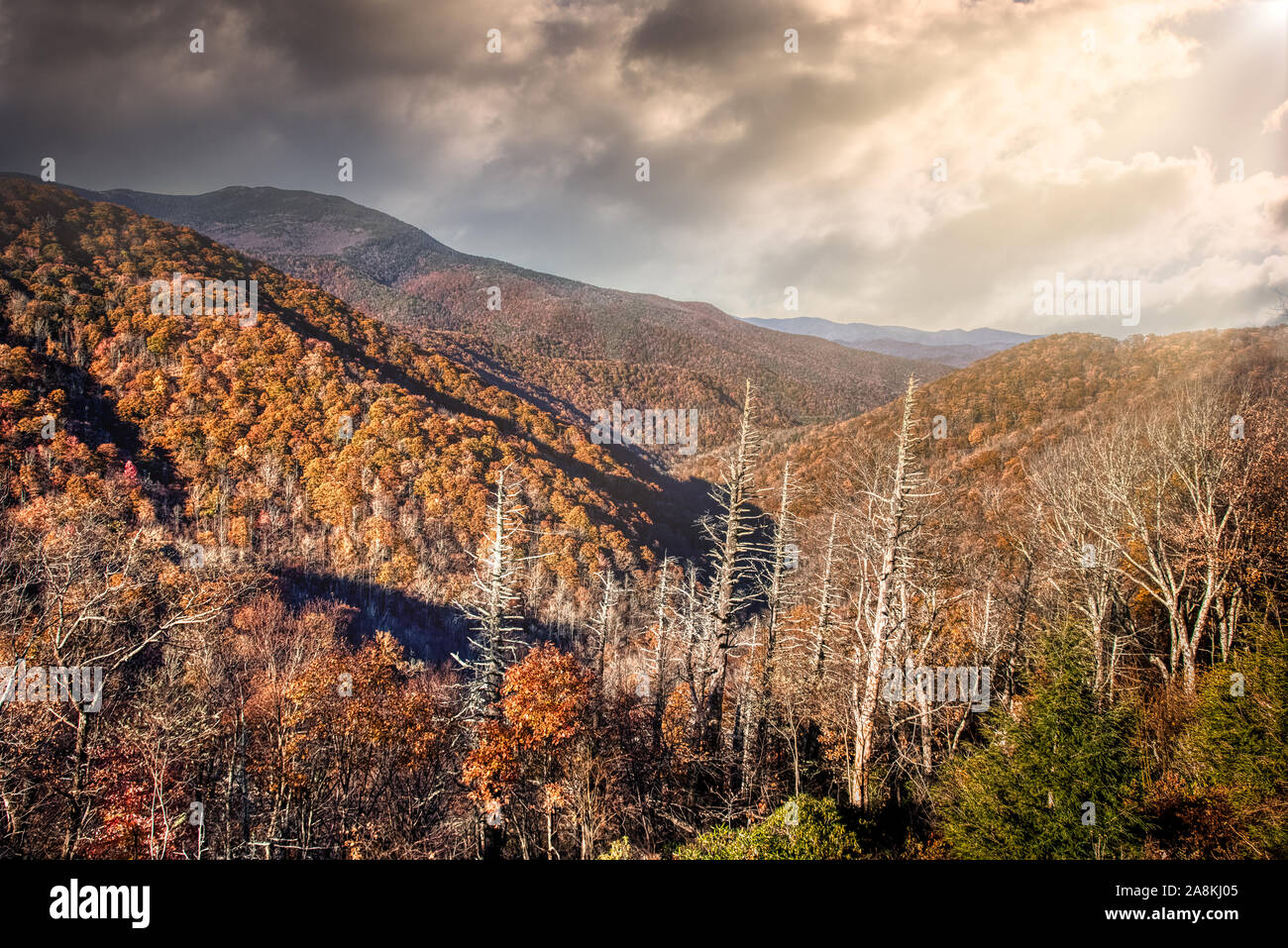 Sunrise drammatica con raggi del sole in Blue Ridge Parkway Foto Stock