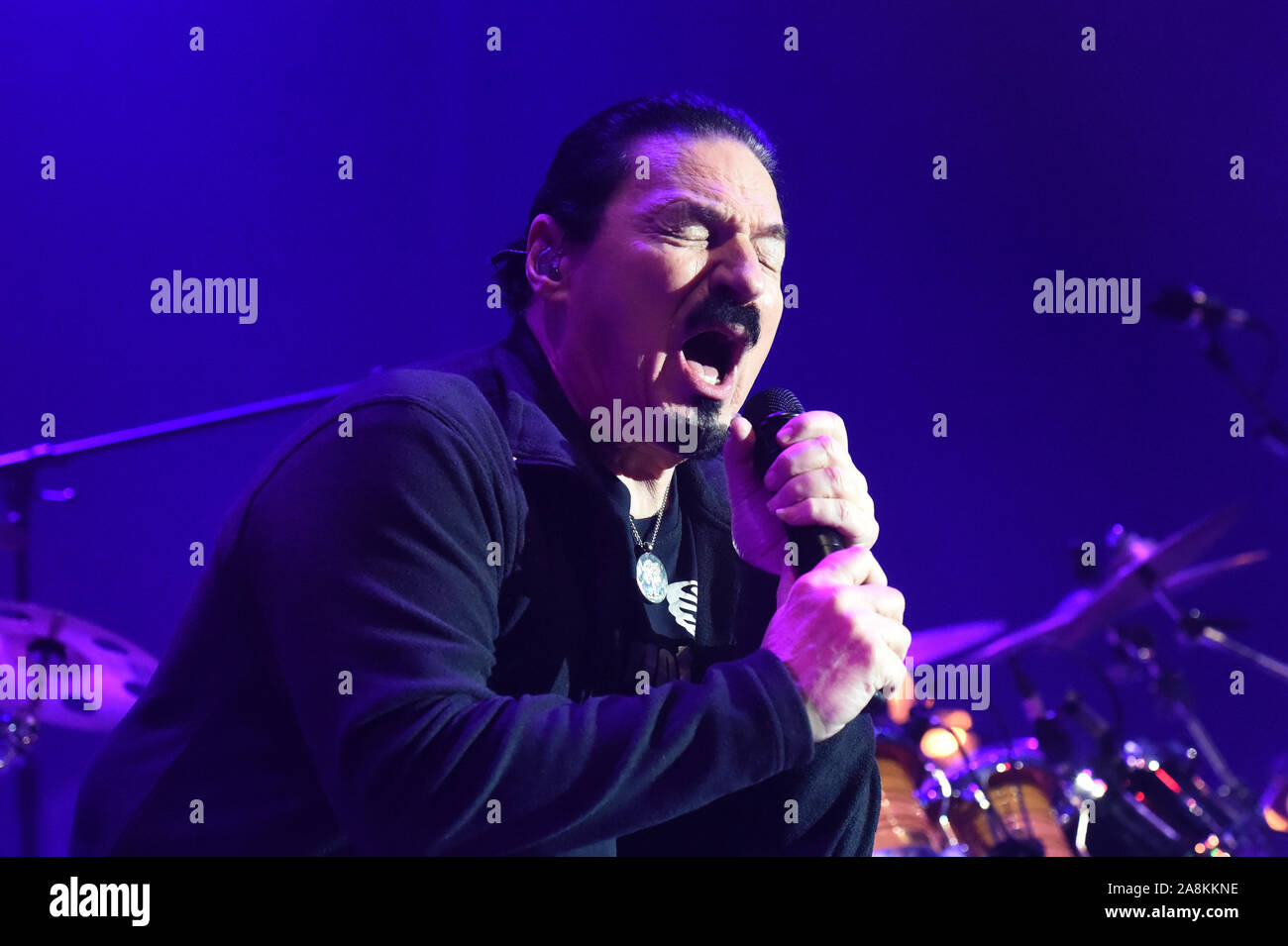 Monaco di Baviera, Germania. 07 Nov, 2019. Il musicista Bobby Kimball appare in un concerto di anime gemelle Mandoki nel Cirkus-Krone-bau. Credito: Felix Hörhager/dpa/Alamy Live News Foto Stock
