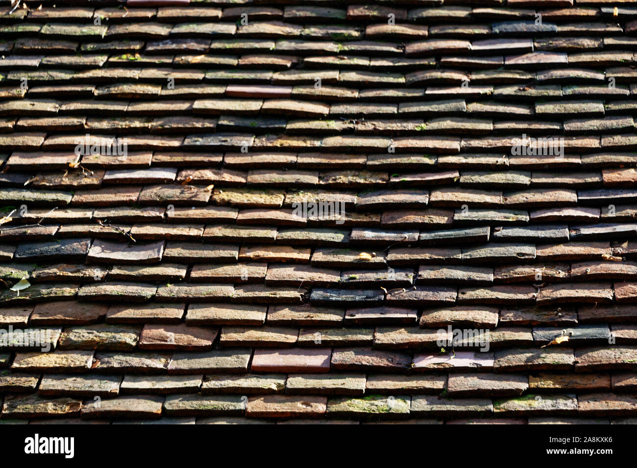 Le linee di scandole di ardesia su un tetto Foto Stock