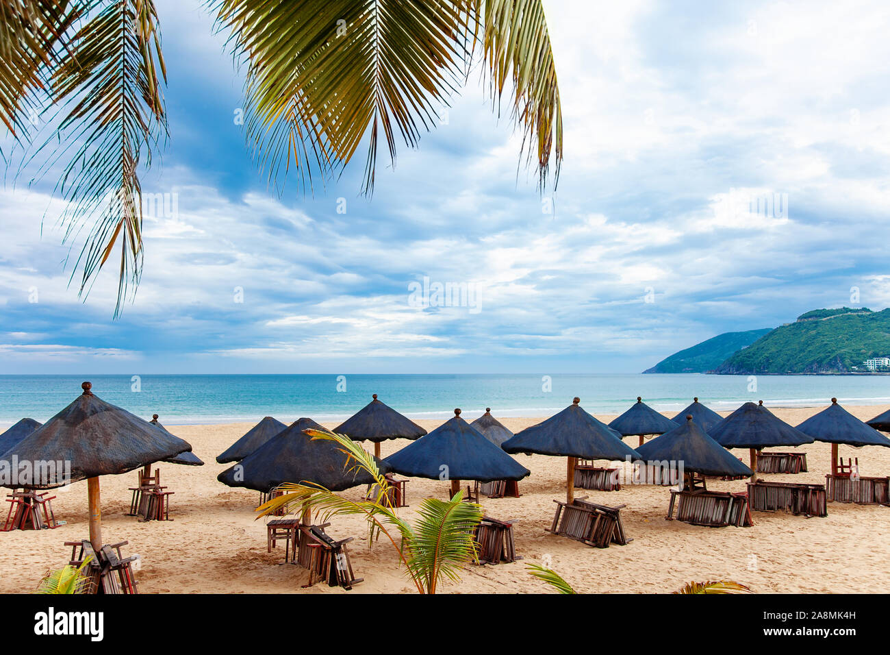 Palme e mare relax paesaggio turistico tropicale Foto Stock