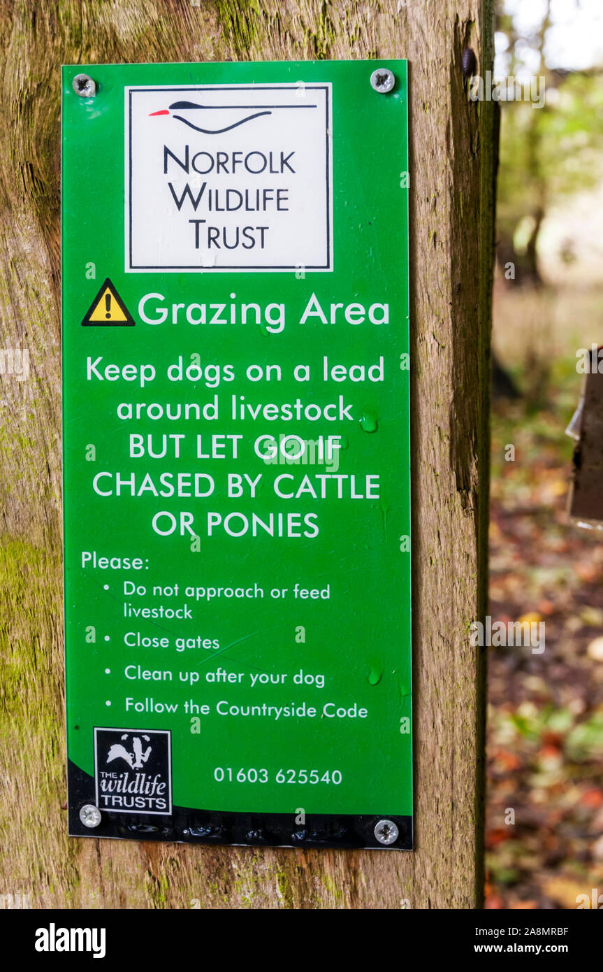 Un Norfolk Wildlife Trust segno consiglia alle persone di mantenere i loro cani al guinzaglio vicino al pascolo degli animali ma per far cadere il conduttore se inseguita da bestiame bovino o pony. Foto Stock