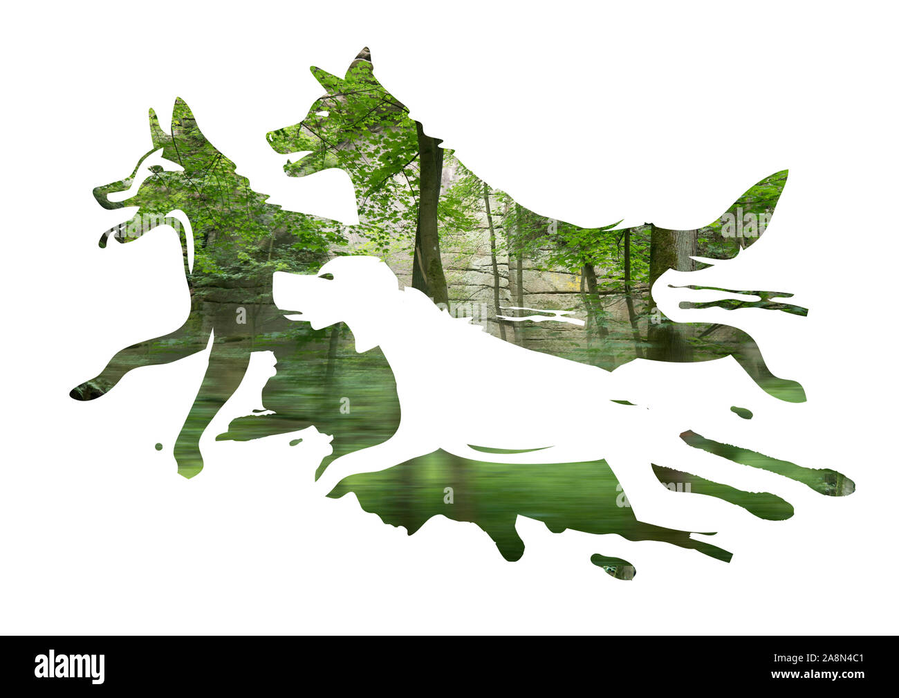 Tre cani in esecuzione in una foresta. Tre stilizzata silhouettes cane sul verde sfocata foto di foresta. Foto Stock