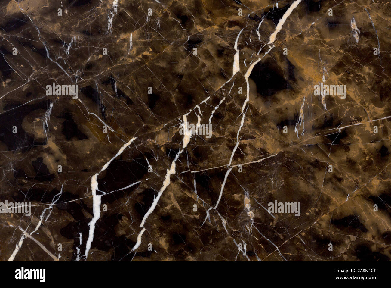 La texture di pietra bianca e marrone con copia spazio. Sfondo di pietra. Foto Stock