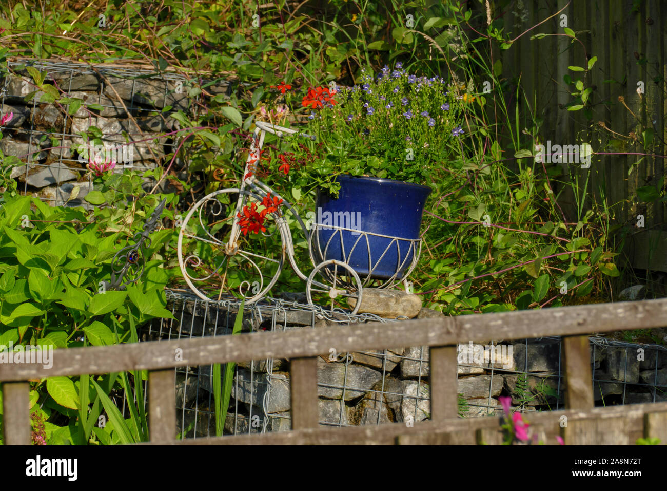 Pflanzen und andere Blumen in ein Deko Dreirad gepflanzt Foto Stock