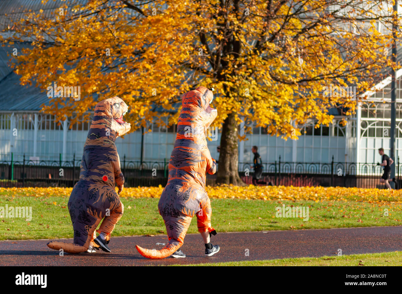 Glasgow, Scotland, Regno Unito. 10 Novembre, 2019. Guide di scorrimento all'interno di dinosauro gonfiabile costumi partecipano in MoRunning che è una serie di 1.5km, 5km e 10km di piste svolge in 24 sedi in tutto il Regno Unito & Irlanda nel mese di novembre in aiuto della Fondazione Movember che raccogliere fondi per la salute dell'uomo. Questo anno si festeggia il suo decimo anniversario e ha raccolto oltre 1 milione di sterline. Questi eventi sollevano i fondi per i principali problemi di salute di fronte a uomini che sono il cancro della prostata, cancro testicolare, salute mentale e il suicidio. Credito: Berretto Alamy/Live News Foto Stock