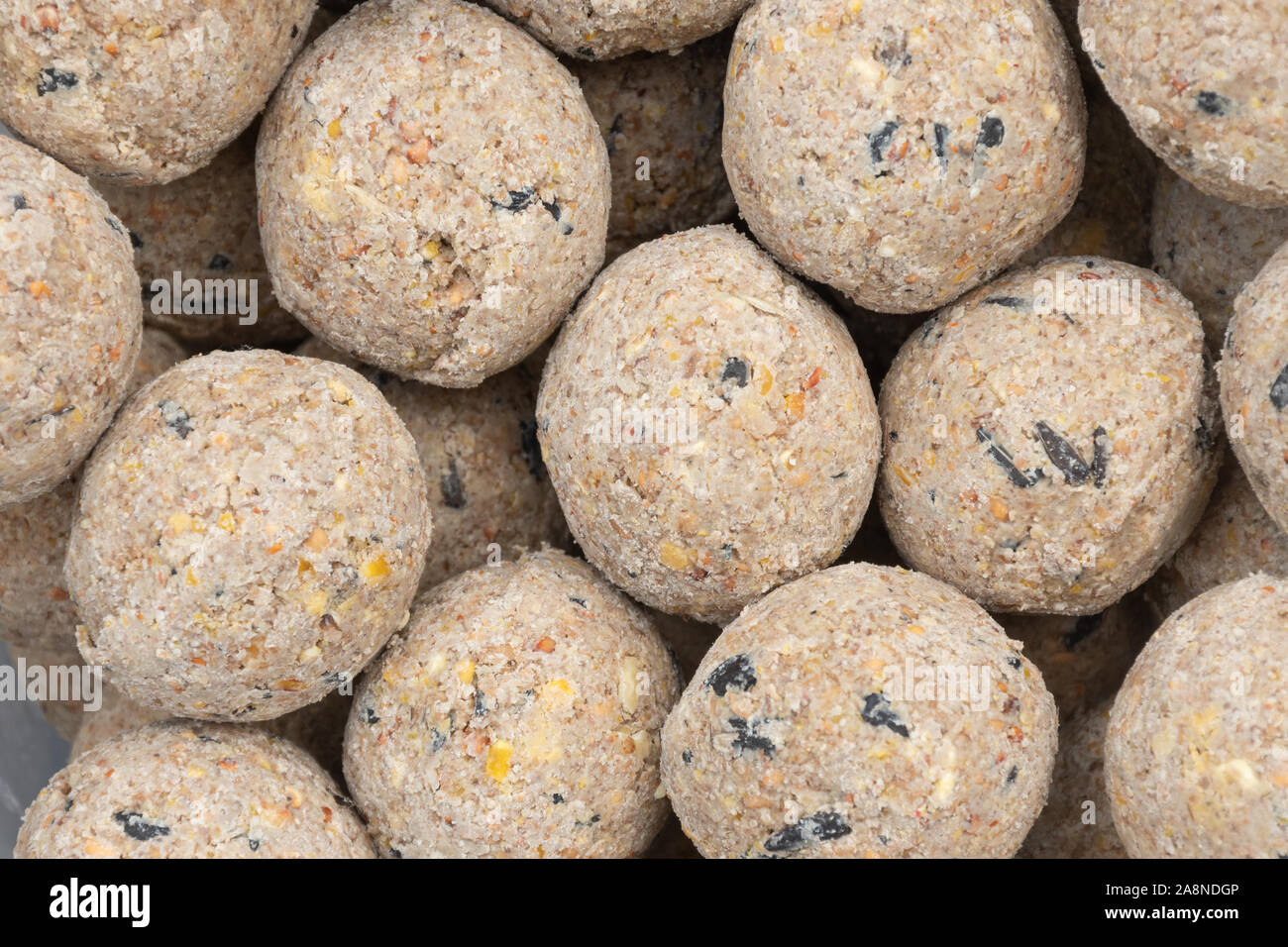 Close-up di grasso le sfere per alimenti per uccelli suet (sfere) Foto Stock