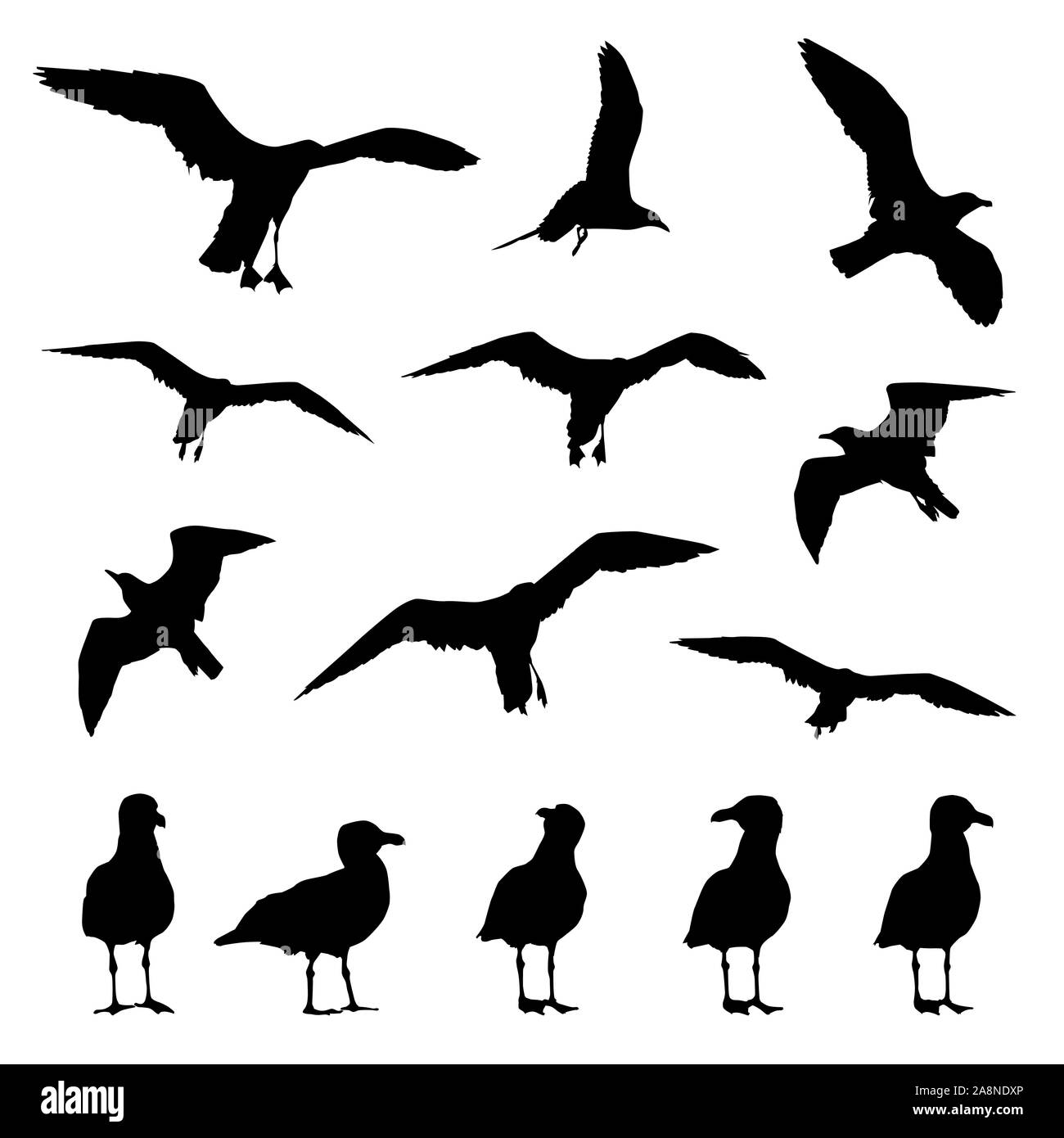 Gabbiani sagome vettoriali su un bianco sfondo isolato Illustrazione Vettoriale