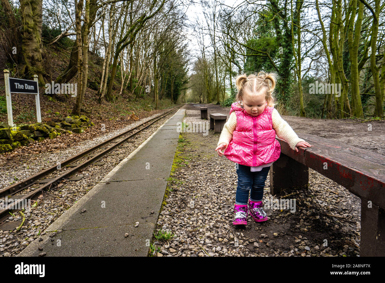 La famosa cavalcata in miniatura lungo railway museum, popolare tra le famiglie e i bambini, uno di Staffordshire preferito di attrazioni turistiche Foto Stock