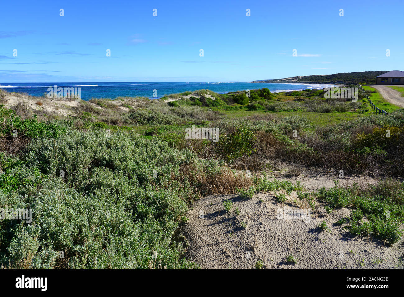 Vista della spiaggia di Horrocks nella metà ovest dell'Australia Occidentale Foto Stock