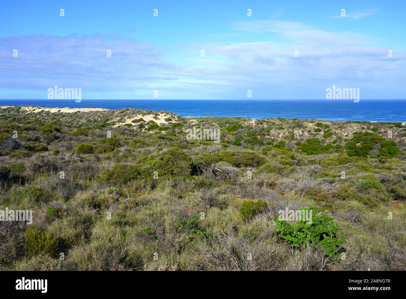 Vista della spiaggia di Horrocks nella metà ovest dell'Australia Occidentale Foto Stock