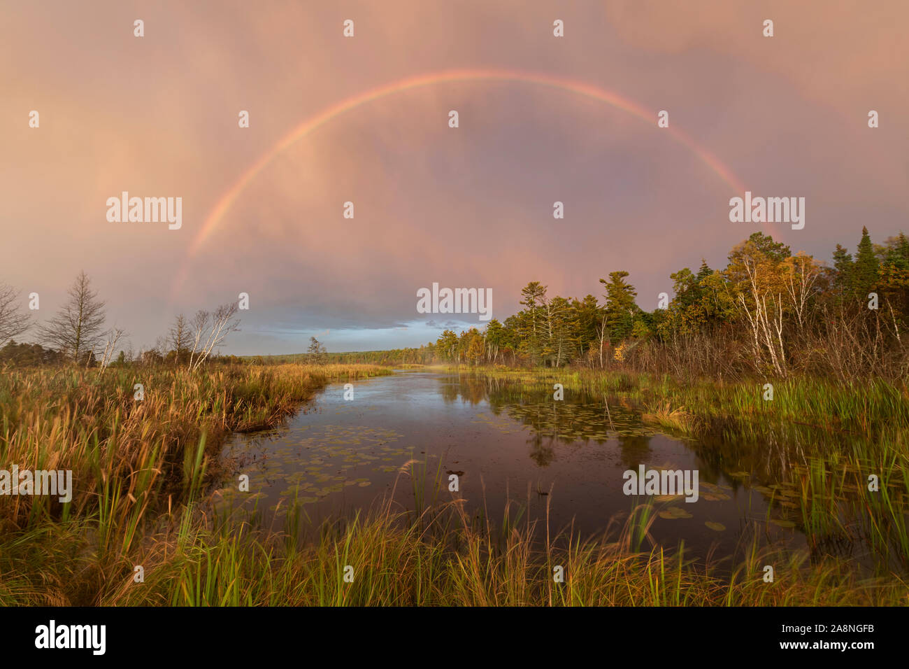 Rainbow su zona umida, Autunno, Wisconsin, USA, da Dominique Braud/Dembinsky Foto Assoc Foto Stock